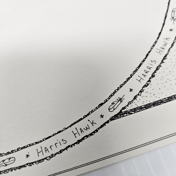 Harris Hawk Bird Art Prints Numbered & Artist Signed Wildlife Set Of 3 - Picture 6 of 16